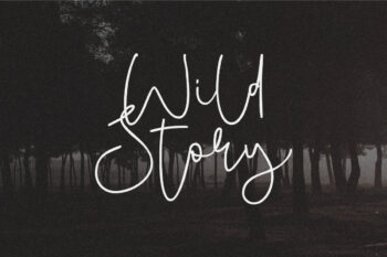 Wild Story Script