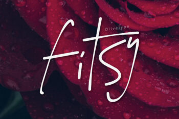 Fitsy