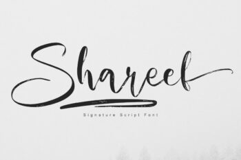 Shareef Script Font