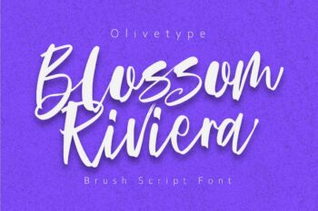 Blossom Riviera - Brush Script Font