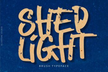 Shed Light